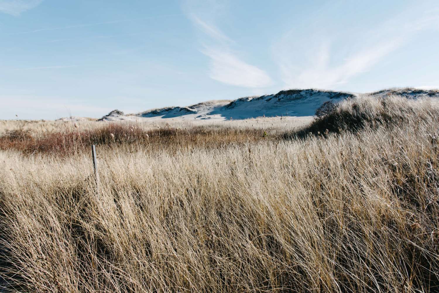 Kỷ yếu Lớp 12C5 | Trường THPT Nguyễn Trãi | Hội An 30 alice donovan rouse E3ir6KZ1EPw unsplash